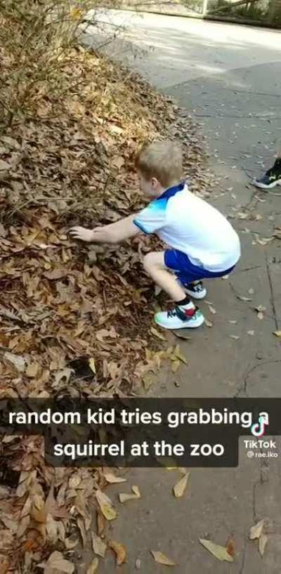 To pick up a squirrel