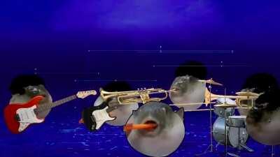 Uh-pufferfish 2019 😔