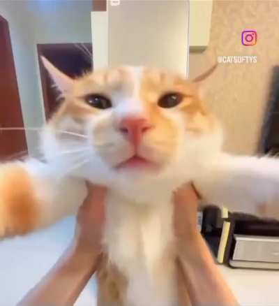 what is wunk saying!