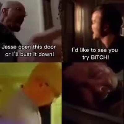 The spirit of justic