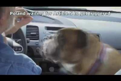 Russia's military genius be like