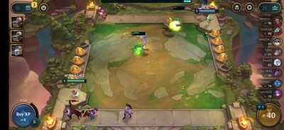 8 Players watching a Cat fight...