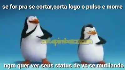 KkKkK