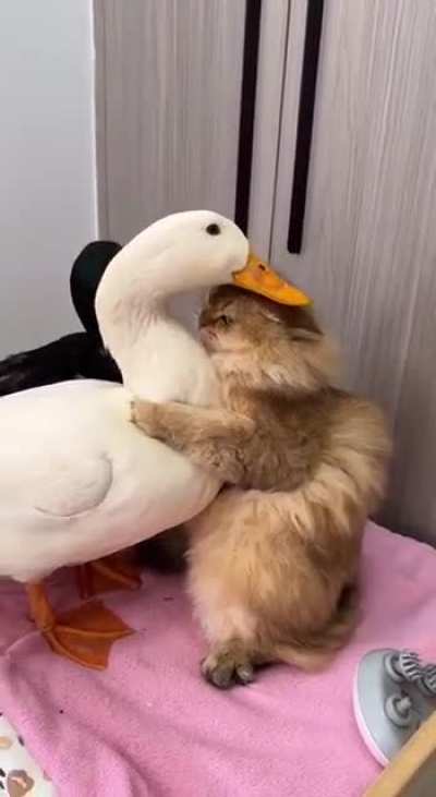 I love you big time, my delicious