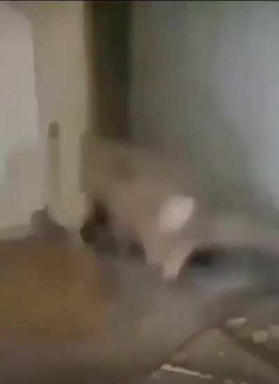 HMFT after causally disregarding any osha standards that ever existed