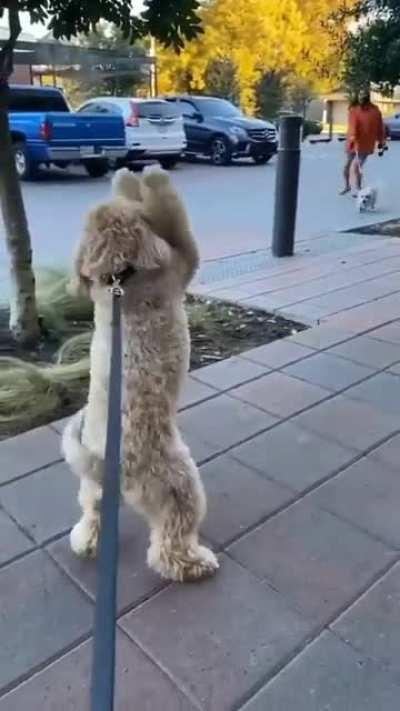 Meeting the best friend after long time..