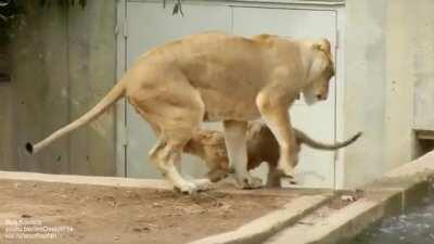 Moms can't help but embarrass their children