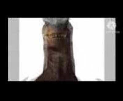 🎵 Dining Sore 🎵