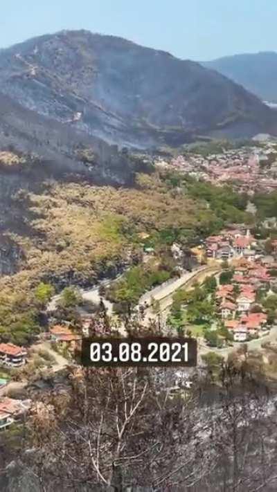 BUNLARIN OLMASINA İZİN VEREN HERKESİN AMK YETER ARTIK