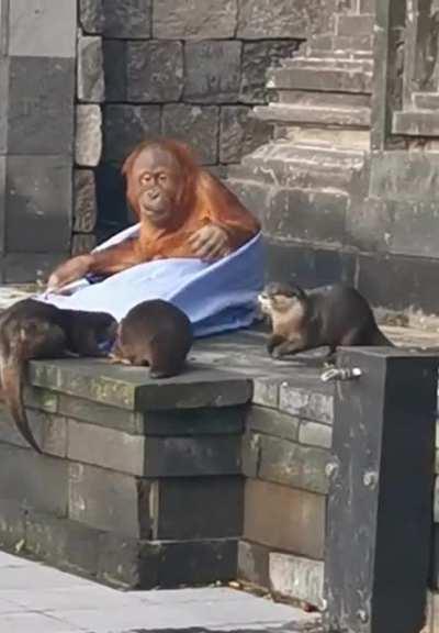 RaTs StEaL a HoMeLeSS MaNs BLAnKeT