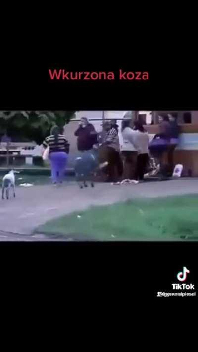 A new sheriff in town