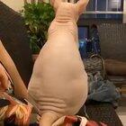 Makes my skin crawl...kinda like...