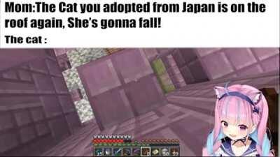 Posting Aqua memes/content until she joins r/Hololive Day 16. I guess its true that cats always land on their feet..