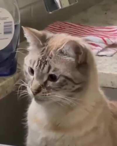 Little guy got something on his mind