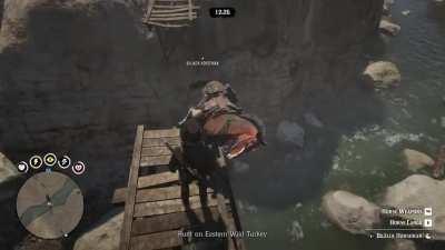 My horse did not deserve this...