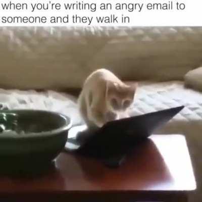 What you doing here?