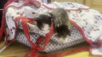 Gavroche abandons Cosette to leave the barricade