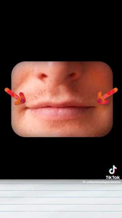 We can&rsquo;t escape