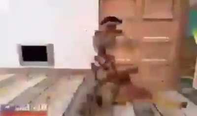 Origen de este video ?