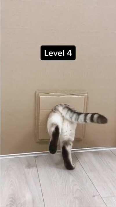 When catculation fails