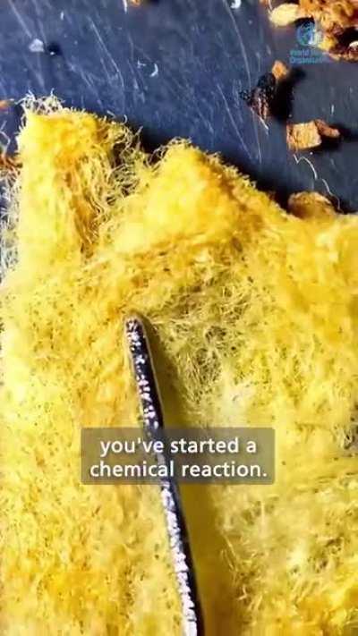 What happens when cigarettes break down. They're a form of plastic that leach toxic chemicals into the environment. Nearly 4.5 trillion are discarded per year that end up polluting parks, rivers, and oceans.