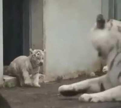 Baby scares his mom :)