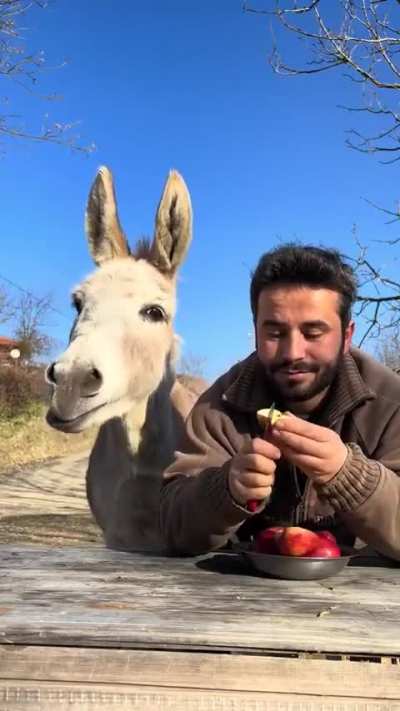 This is why I pay internet for
