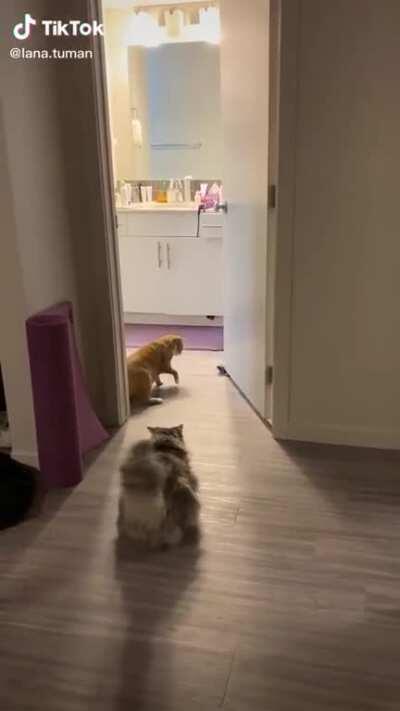 All that over a sock lmao