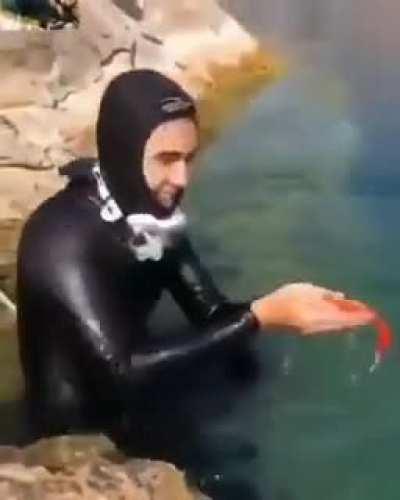 To throw the fish away