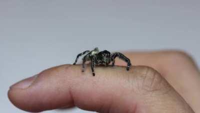 The head tilt is the cutest thing ever!!!!!