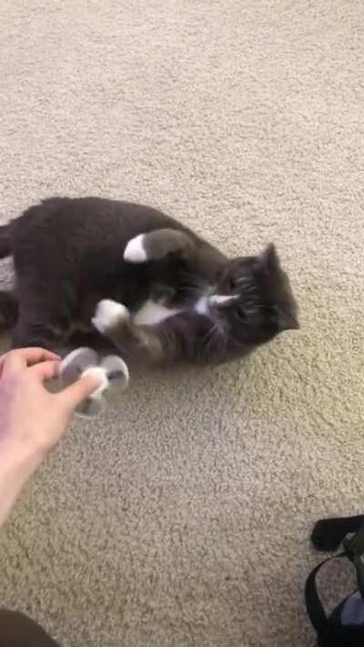 the master of the fidget spinner