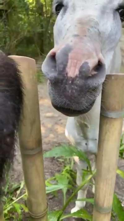 Будешь?.. Ну, тода бывай друг