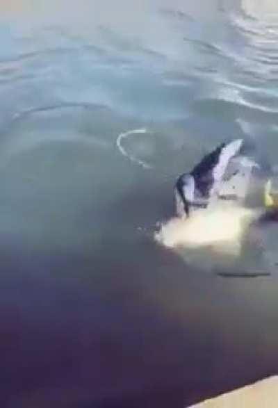 Tax explained in seconds.