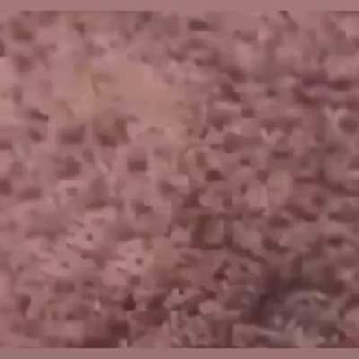 Nooooooooooooooooooooooooooooooooo