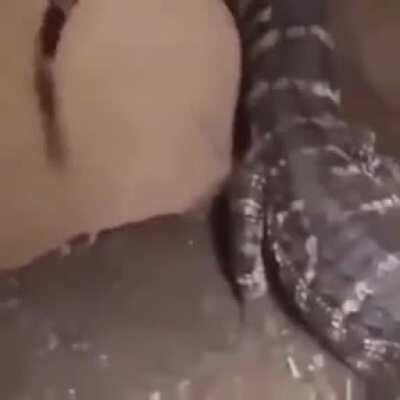 Dosis de serotonina para este nuevo año