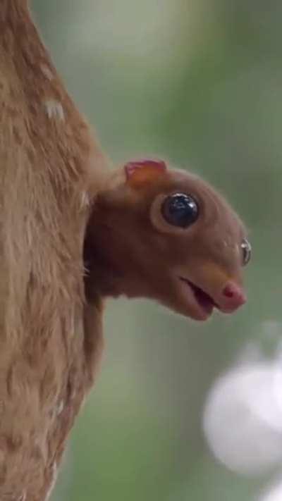 Monday feeling.. 😅