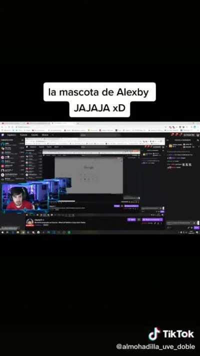 Levanta la mano plis