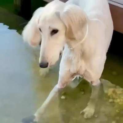 It's on my leg. IT'S ON MY LEG!!!!!!!!