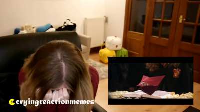 ronald weasley's howler breaks the anime reactor's heart because of its harshness