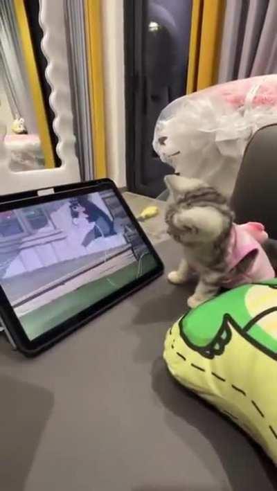 To stop tom from getting hurt