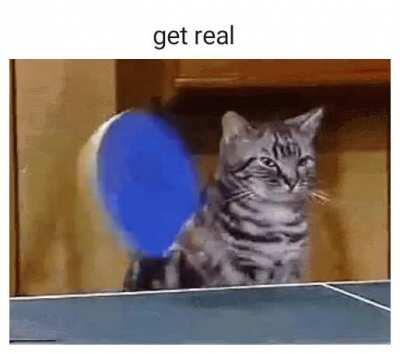 Get real 🐱🏓