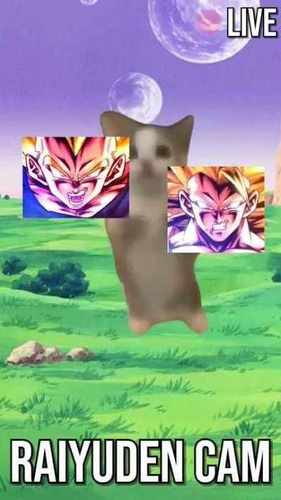 Rai's reaction cam to the video and stuff