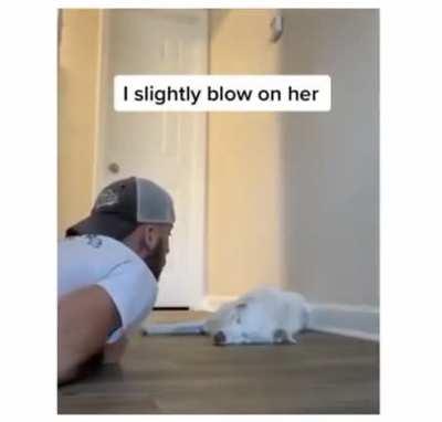 This vid brings joys, wholesomeness warm to the heart