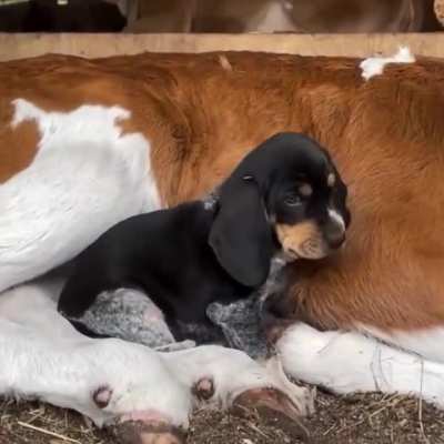 Best friends