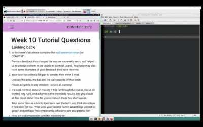 UNSW Lecturer becomes a Vtuber for student engagement (uni in Australia)