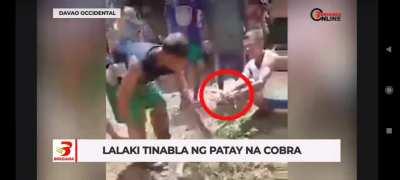 Man died after playing with a dead king cobra