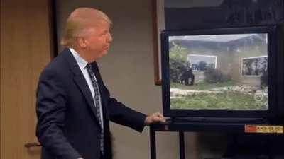 Gorilla Channels in the Mist