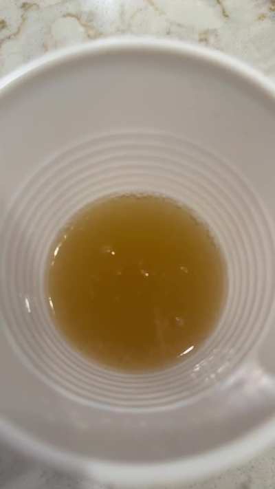 This tepache ginger beer came put great