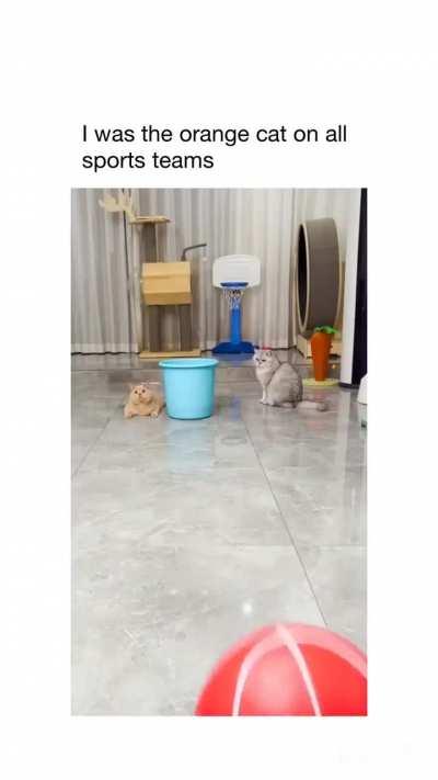 The most orange of oranges