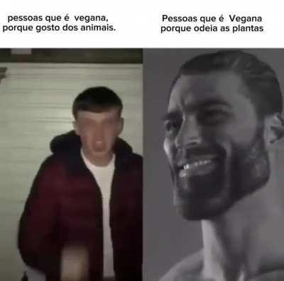 Veganismo